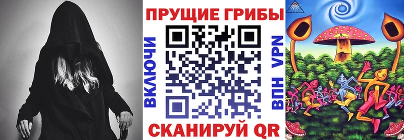 Галлюциногенные грибы MAGIC MUSHROOMS  Купить закладки  Сунжа 