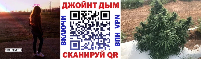 Купить где  Сунжа  Бошки Шишки VHQ 